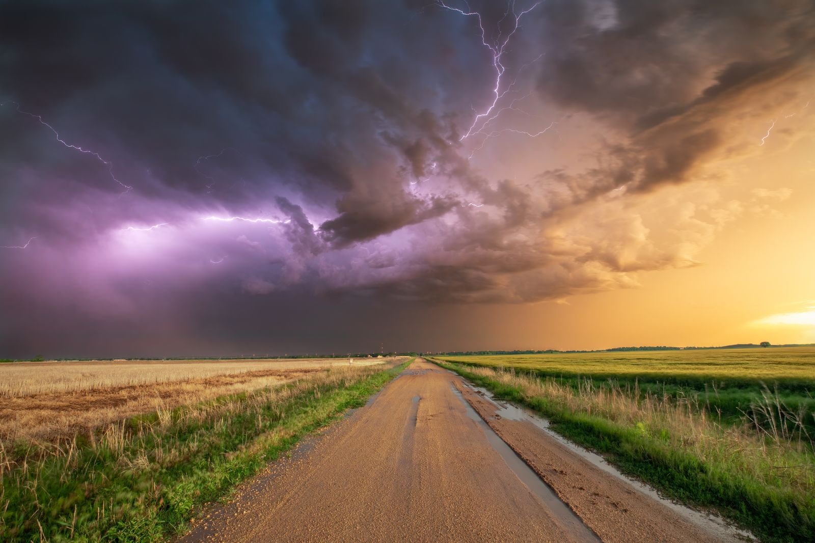 A dirt road running toward the horizon between wheat fields under a purple supercell with lightning, at sunset in Oklahoma
