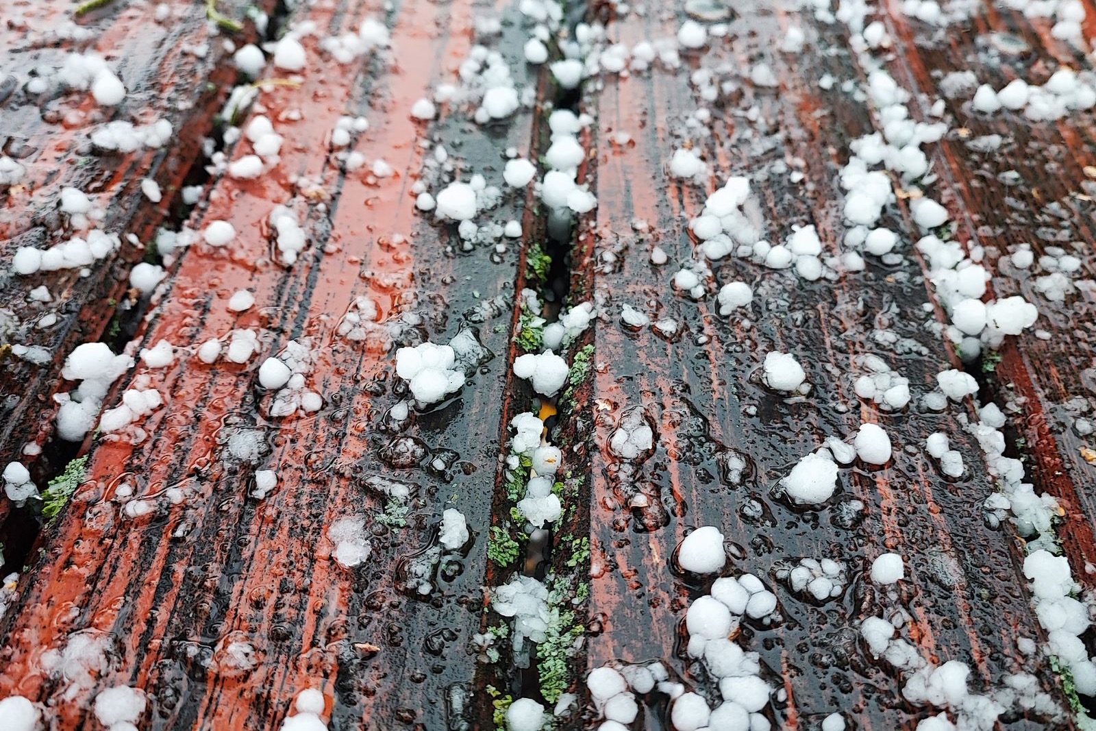 Small hailstones scattered across wet red-brown deck boards after a storm